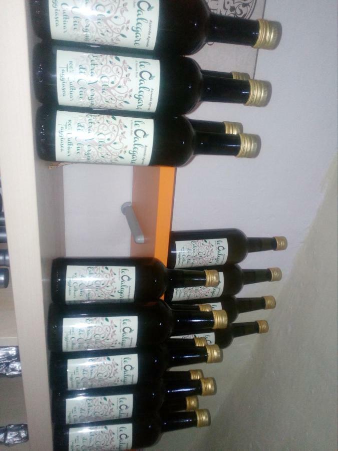 B&B Le Calegare Diano Castello Luaran gambar